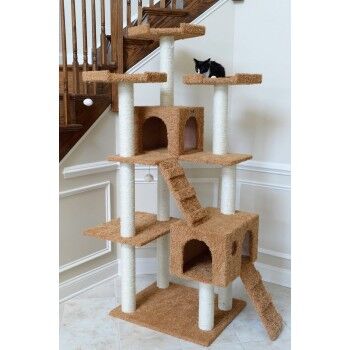 Cat Trees for Large Cats: Heavy Duty Cat Condos and Towers