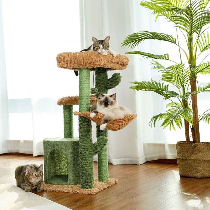 Small Cat Trees & Condos for Senior Cats