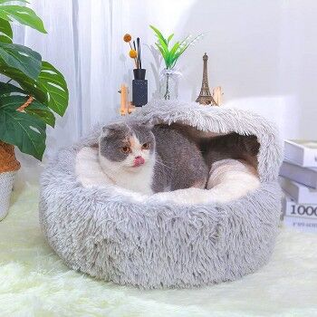 Soft Heated and Classic Cat Beds for Cats of Any Size