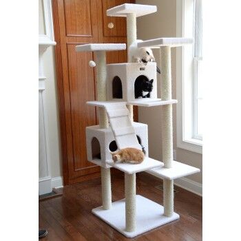 Cat Climbing Trees : Tall Towers for Indoor Cats