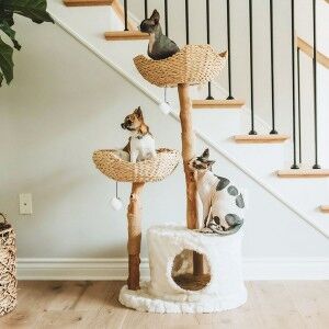 Luxury Wood Cat Trees for Large Cats with Rattan Baskets