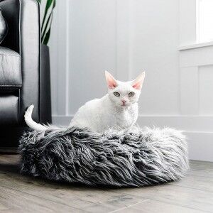 Cat fluffy bed hotsell