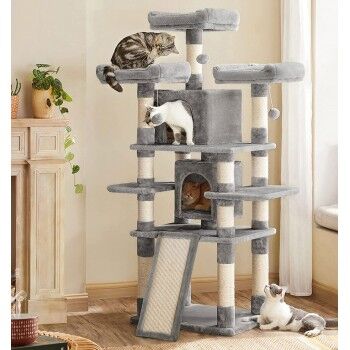 Cat Climbing Trees : Tall Towers for Active Cats