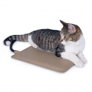 Kitty heating pad best sale