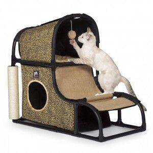 Pets at home cat activity centre hotsell