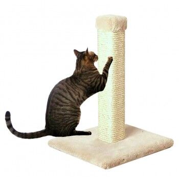 Cat Trees and Condos for Large Cats