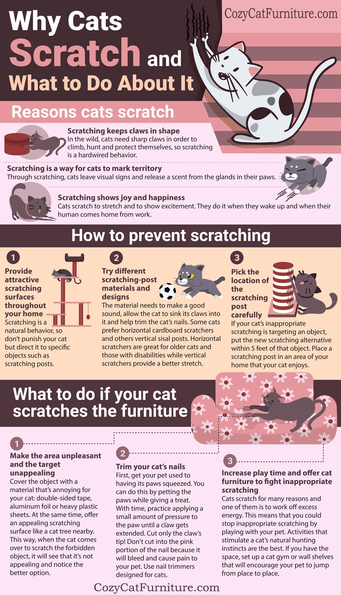 Cat scratching Why cats do it and how to prevent it